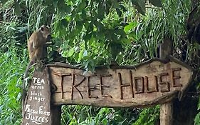 Ella Treehouse Guest House  Sri Lanka