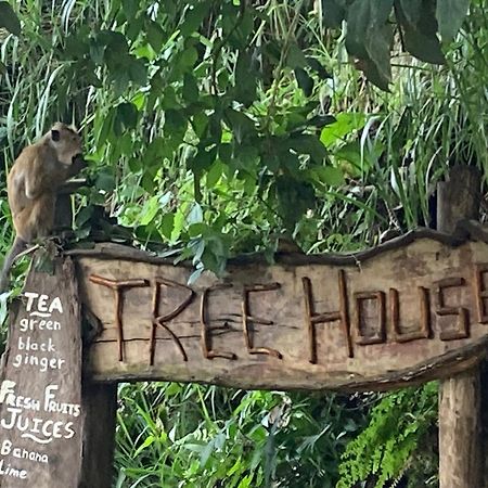 Ella Treehouse Hotel Exterior photo