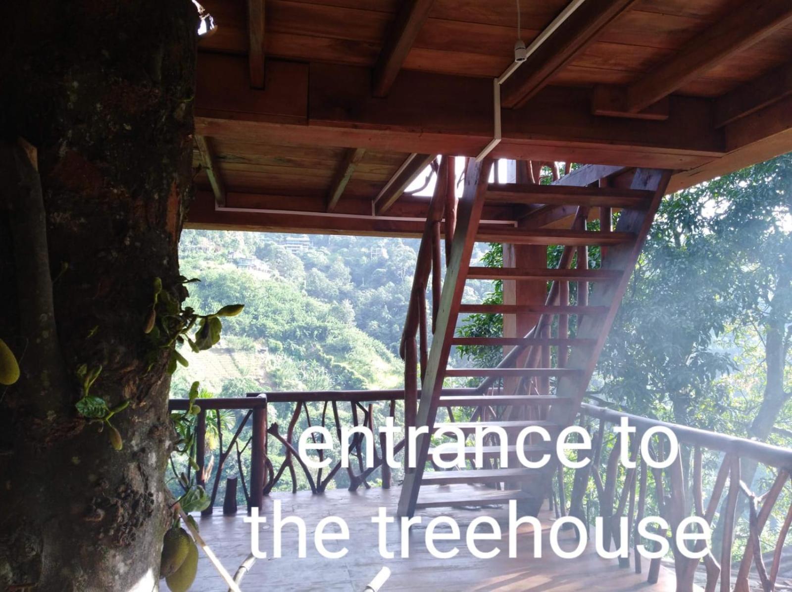 Ella Treehouse Hotel Exterior photo