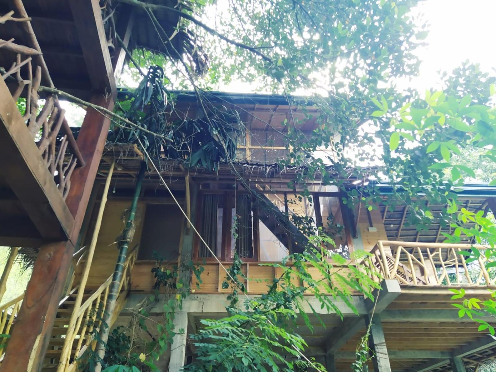 Ella Treehouse Hotel Exterior photo