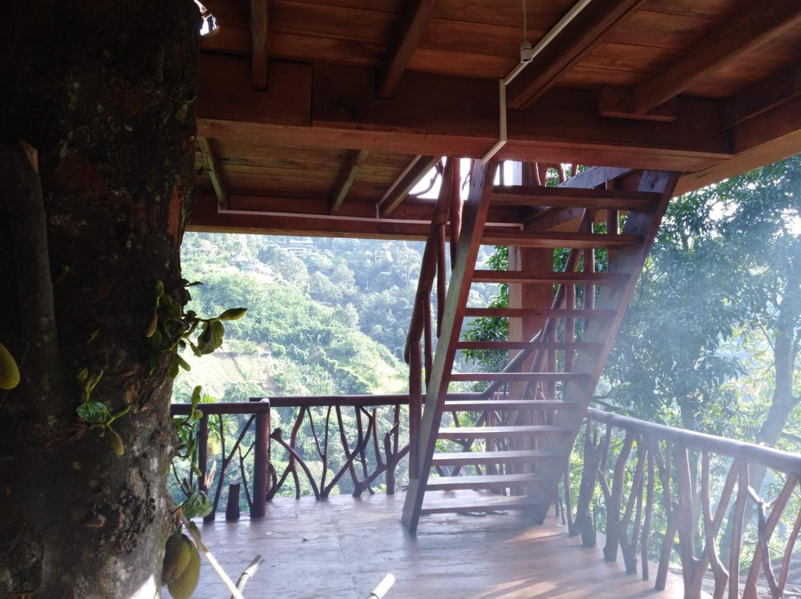 Ella Treehouse Hotel Exterior photo