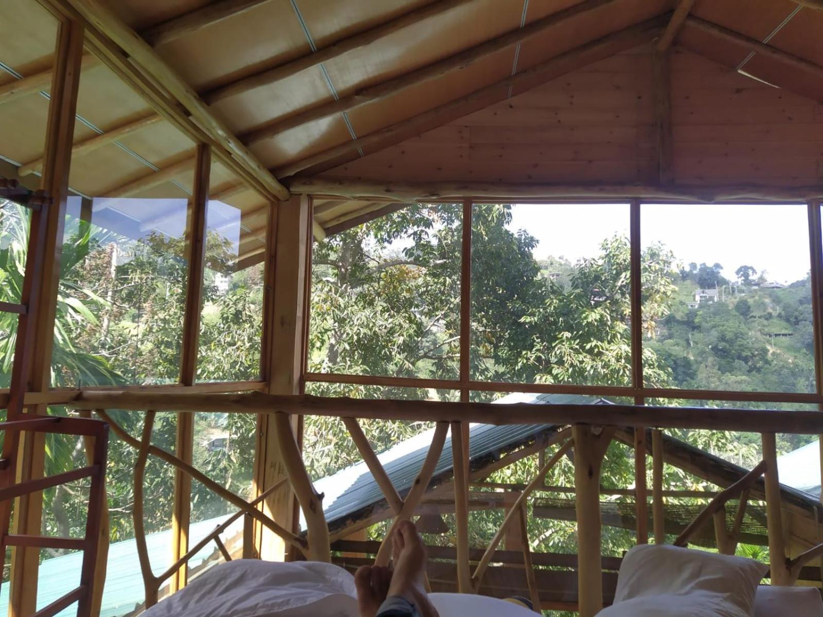 Ella Treehouse Hotel Exterior photo