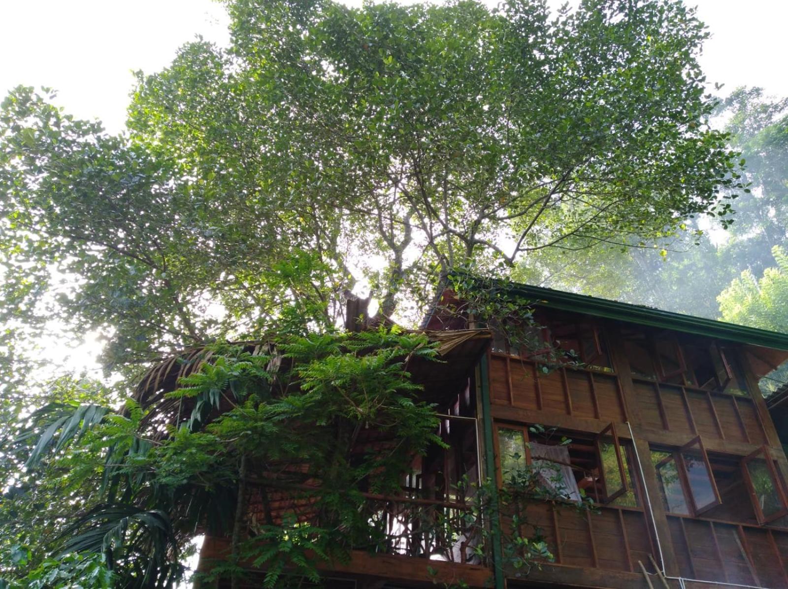 Ella Treehouse Hotel Exterior photo