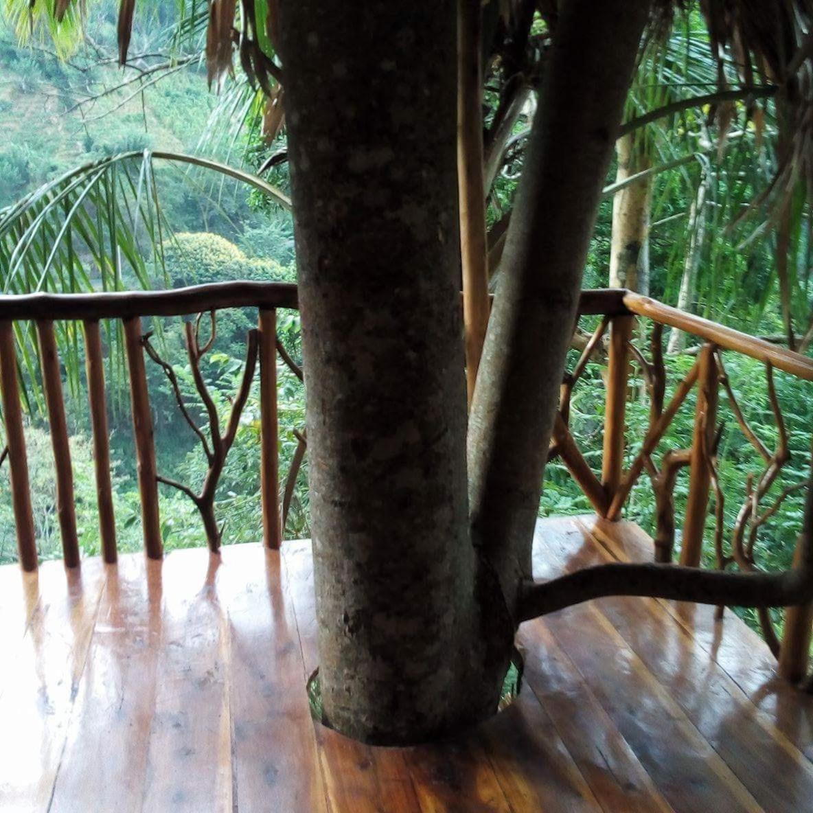 Ella Treehouse Hotel Exterior photo