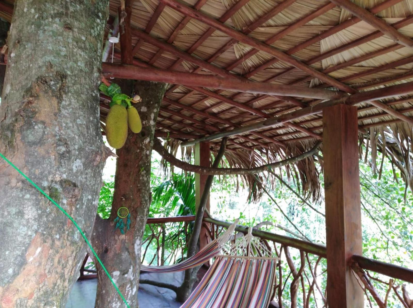 Ella Treehouse Hotel Exterior photo