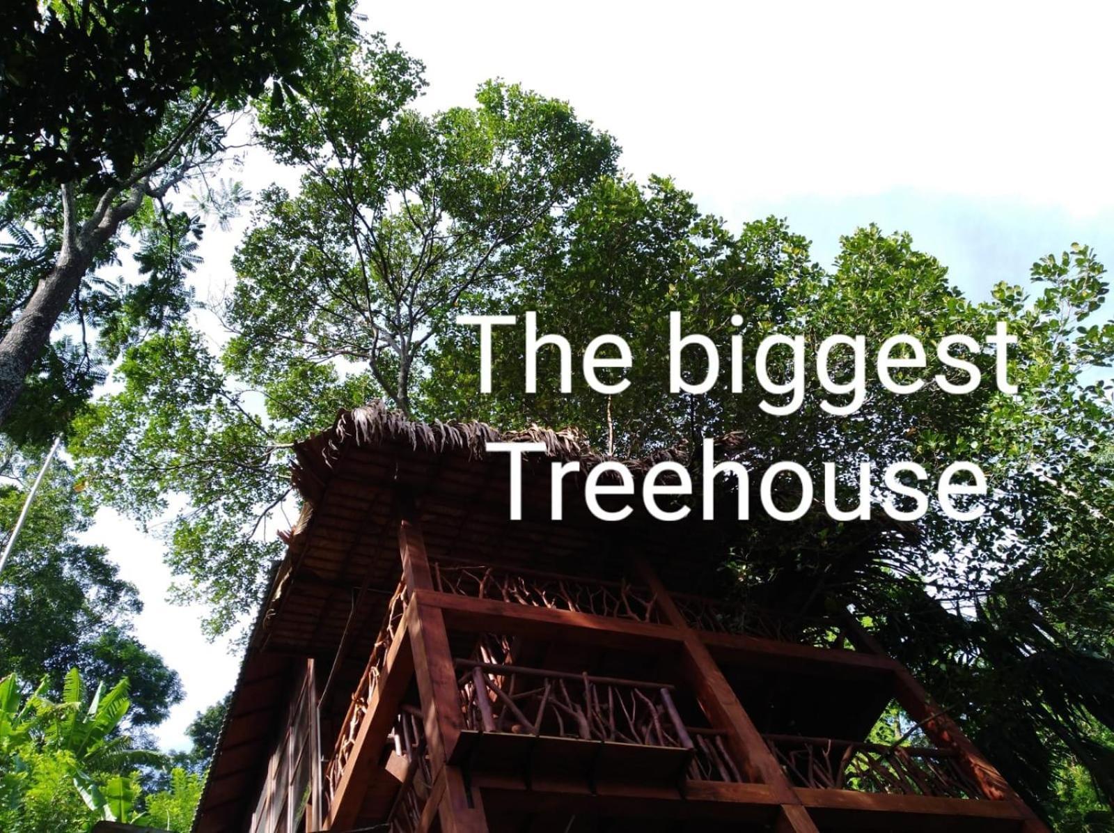 Ella Treehouse Hotel Exterior photo