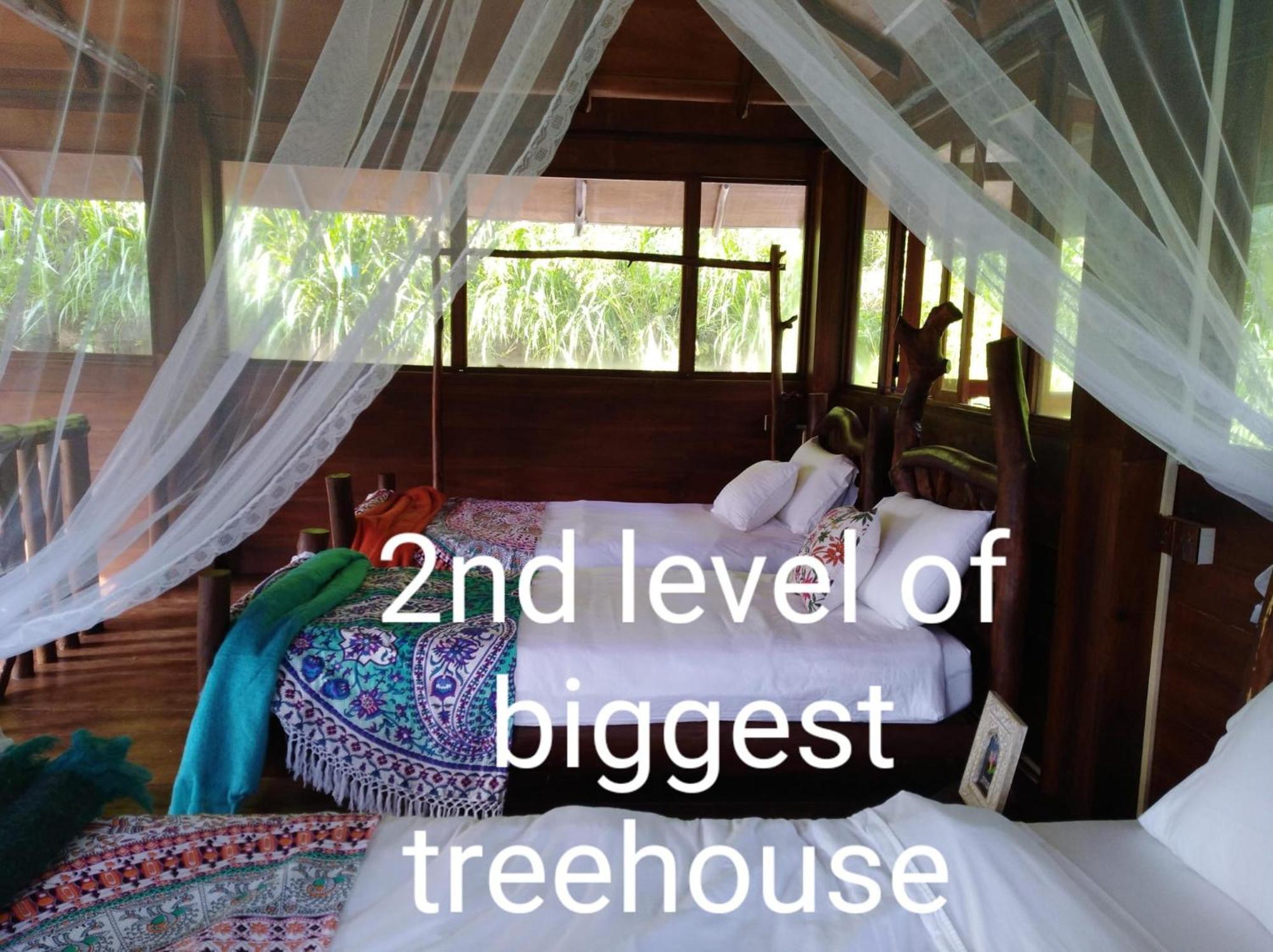 Ella Treehouse Hotel Exterior photo