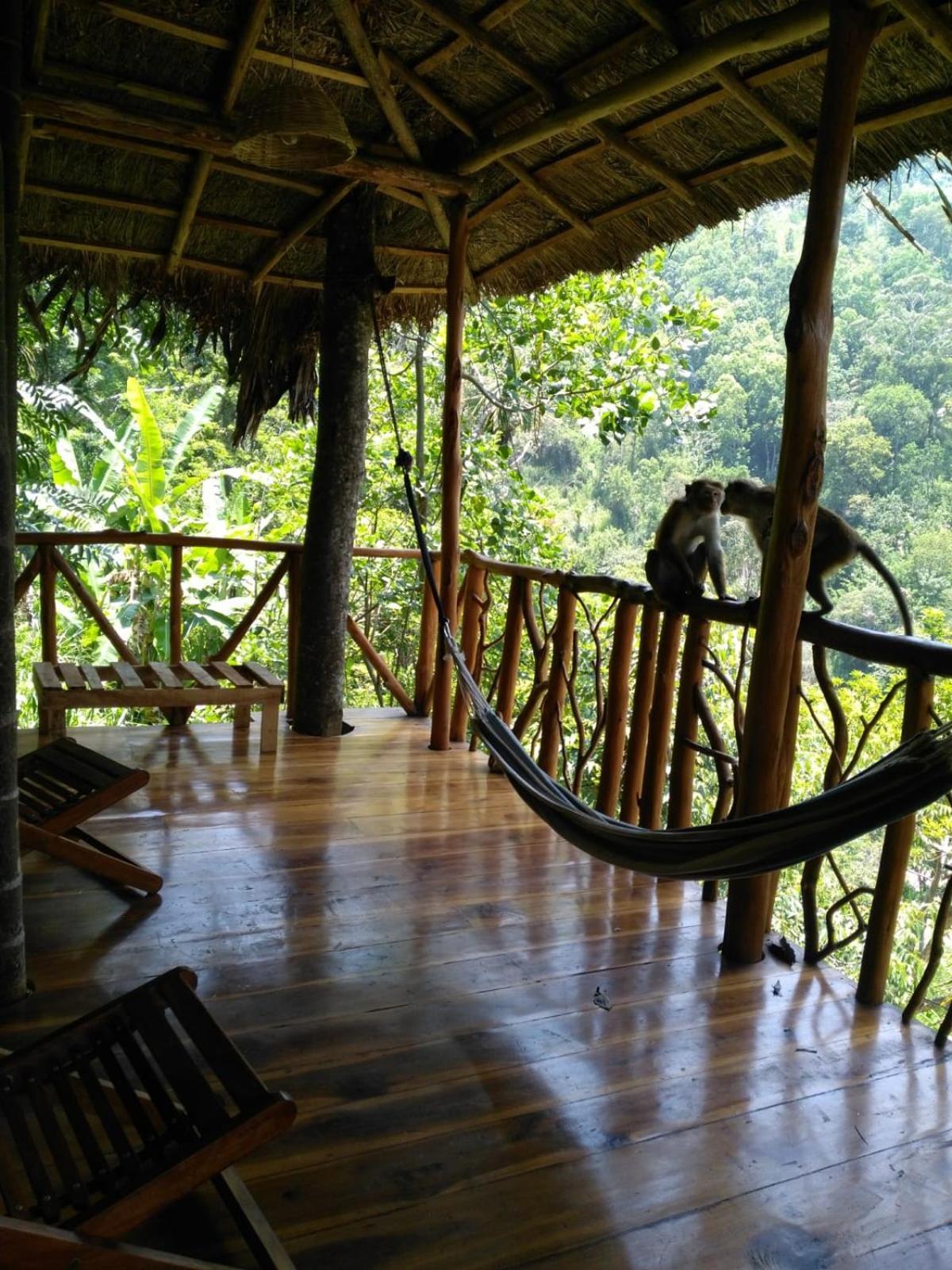 Ella Treehouse Hotel Exterior photo