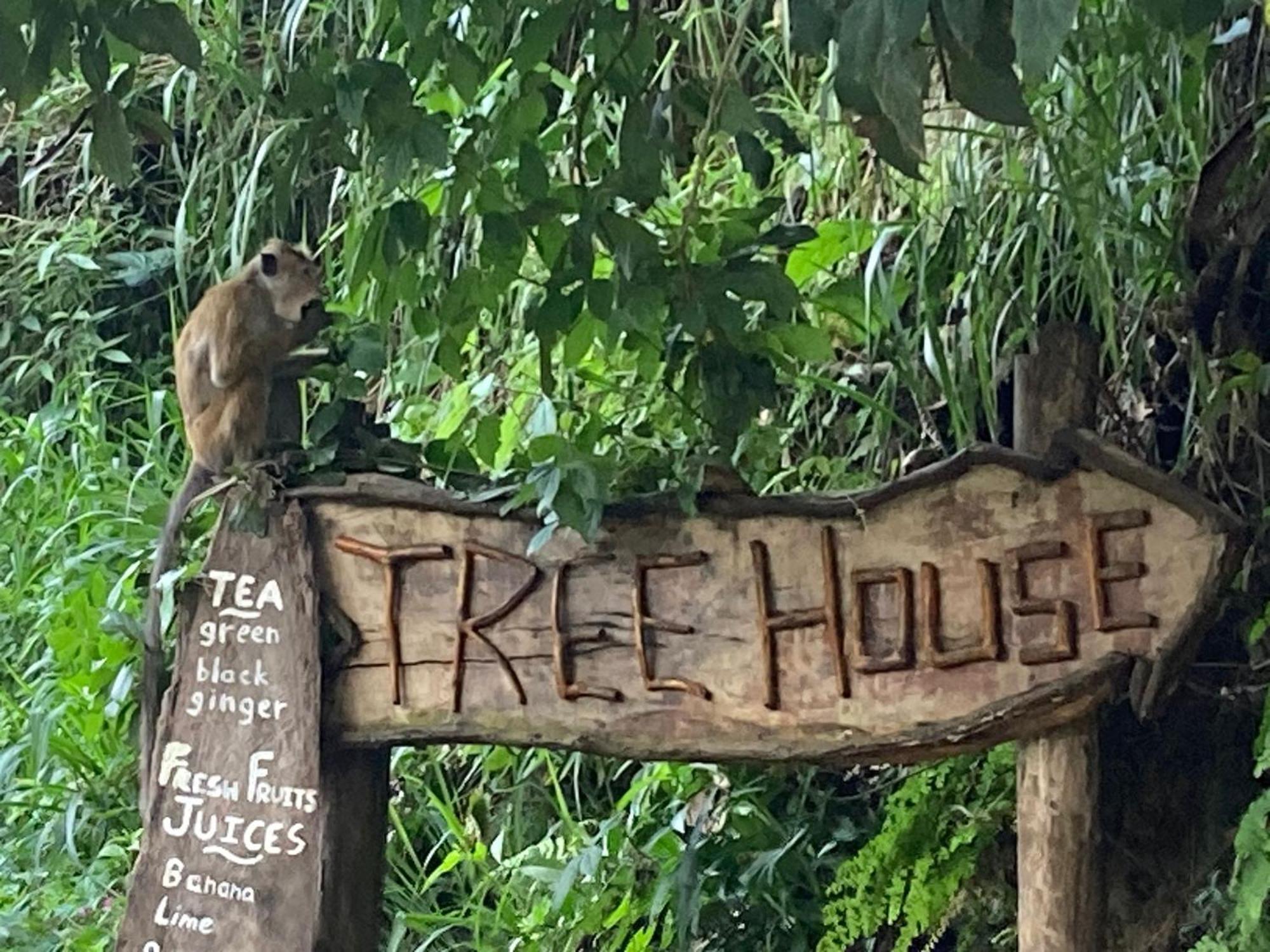Ella Treehouse Hotel Exterior photo