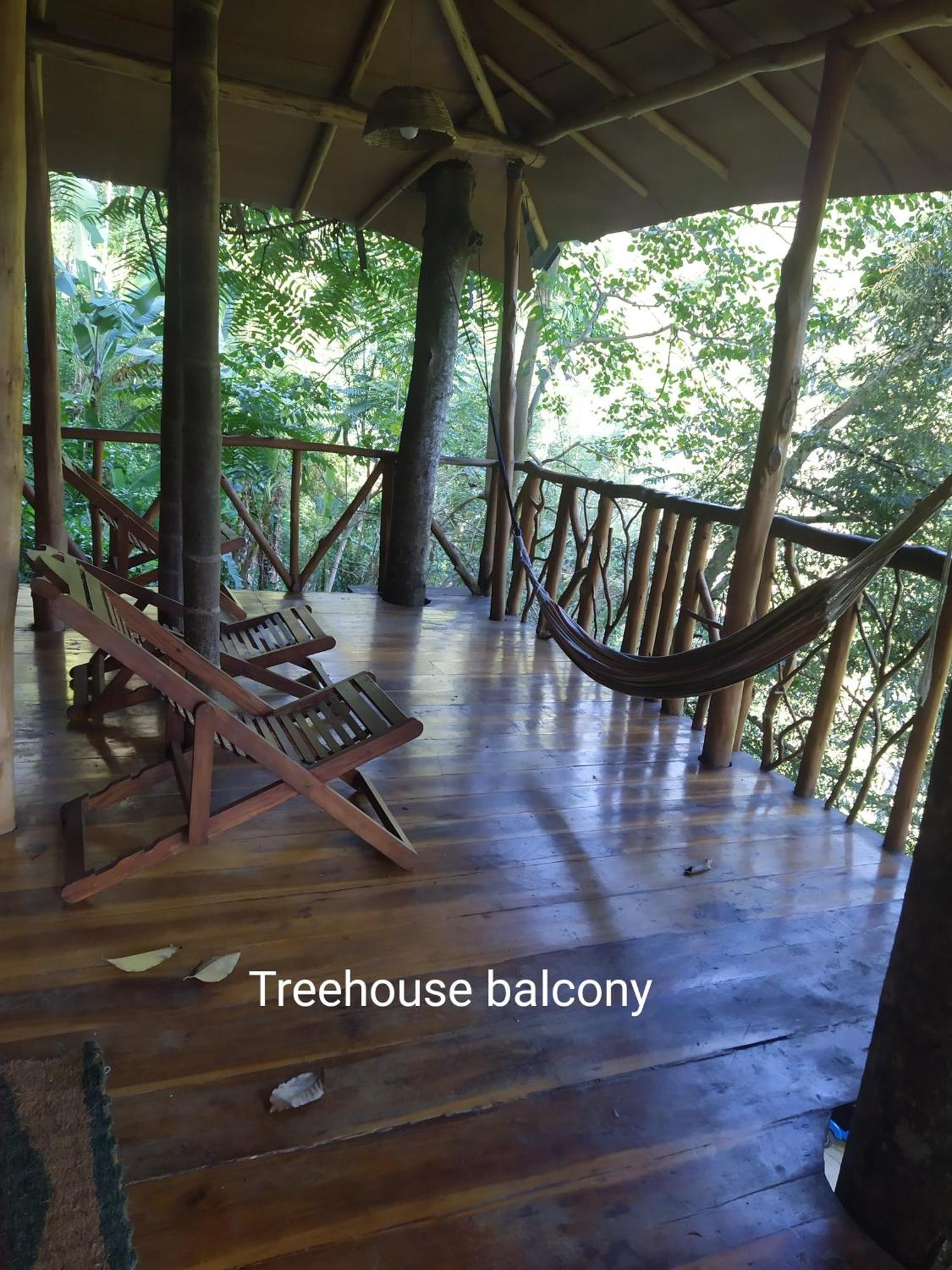 Ella Treehouse Hotel Exterior photo