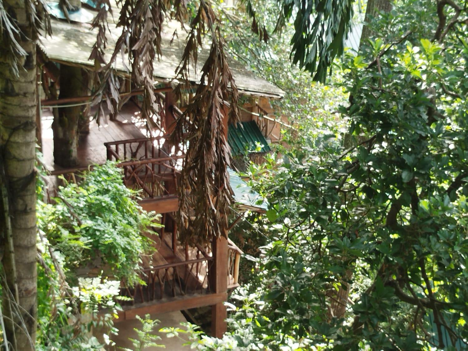 Ella Treehouse Hotel Room photo